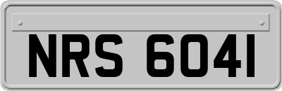 NRS6041
