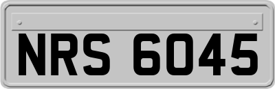 NRS6045