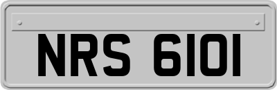 NRS6101