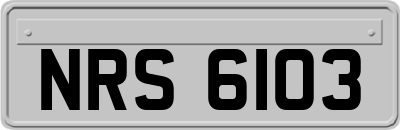 NRS6103