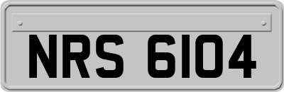 NRS6104