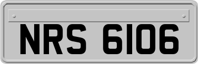 NRS6106