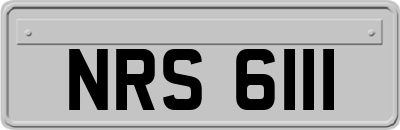 NRS6111