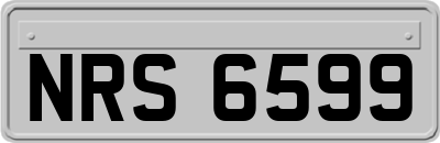 NRS6599