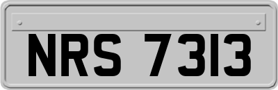 NRS7313