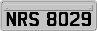 NRS8029