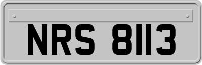 NRS8113