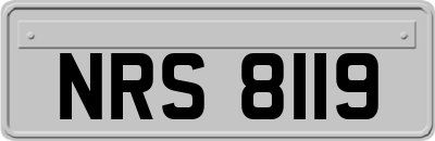 NRS8119