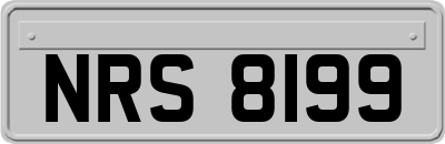 NRS8199