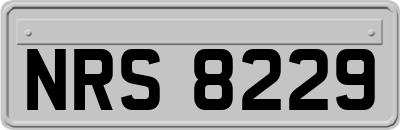 NRS8229