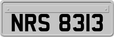 NRS8313