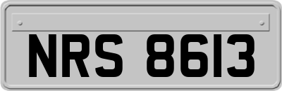 NRS8613