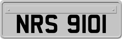 NRS9101
