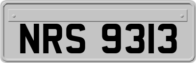 NRS9313