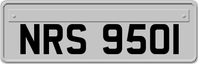 NRS9501