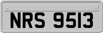 NRS9513