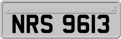 NRS9613