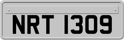 NRT1309