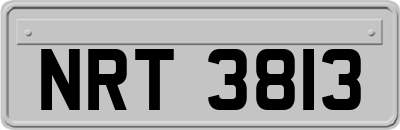 NRT3813