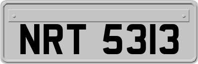 NRT5313