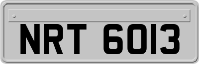 NRT6013