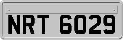 NRT6029