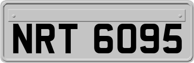 NRT6095