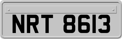 NRT8613