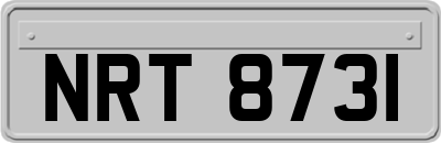 NRT8731