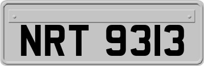 NRT9313