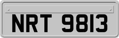 NRT9813