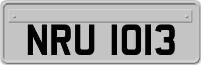 NRU1013