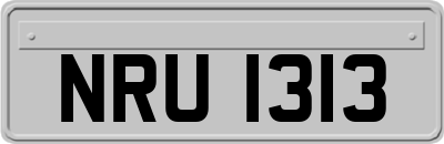 NRU1313