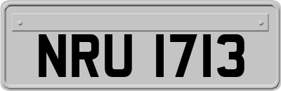 NRU1713