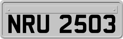 NRU2503