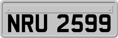 NRU2599