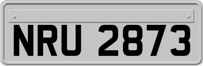 NRU2873