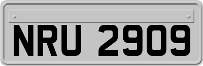 NRU2909
