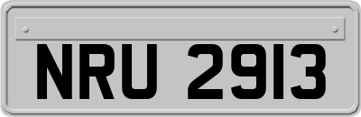 NRU2913