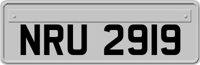 NRU2919