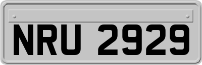NRU2929