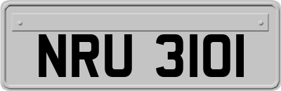 NRU3101