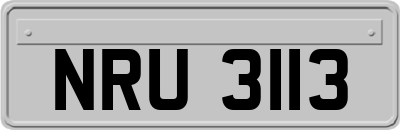 NRU3113