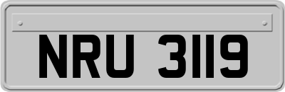NRU3119