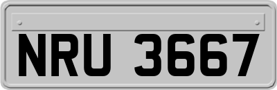 NRU3667