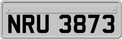 NRU3873