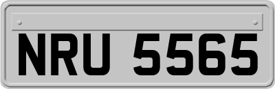 NRU5565