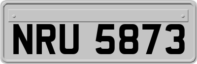 NRU5873