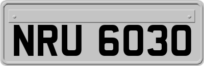 NRU6030