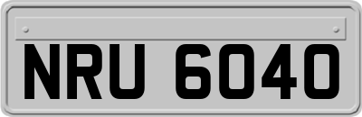 NRU6040